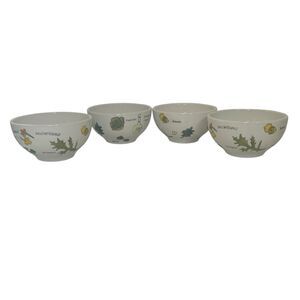 Set of 4 Ursula Dodge Signature Housewares Salad Days Bowls 5.5"